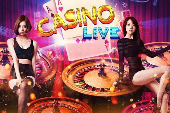 net bet Live Casino